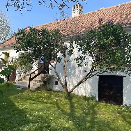 Tulipanos Lada Vendeghaz 別荘